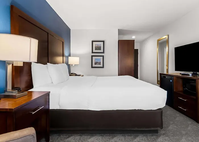Hotel Comfort & Near Amphitheater Tinley Park