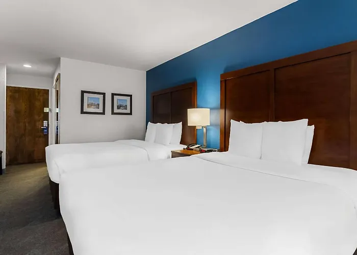 Hotel Comfort & Near Amphitheater