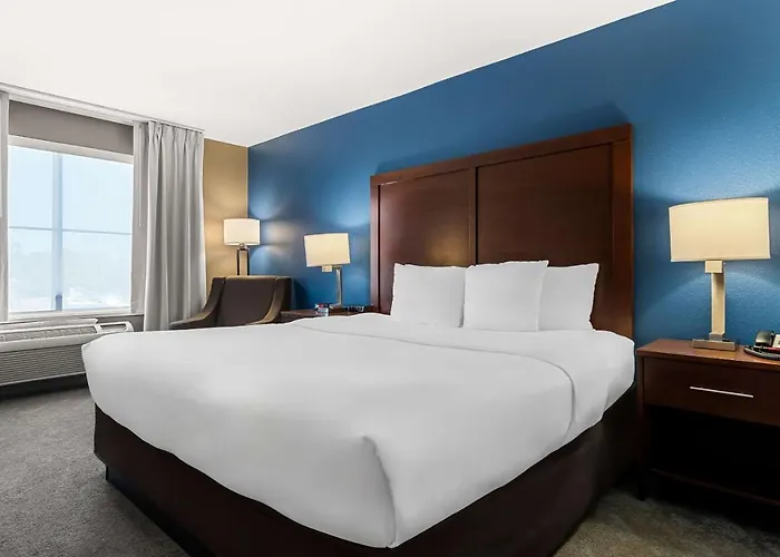 Hotel Comfort & Near Amphitheater 4*