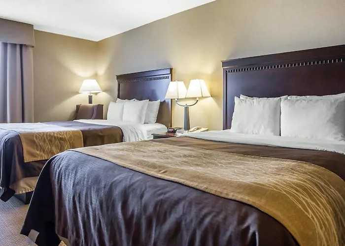 Hotel Comfort & Near Amphitheater
